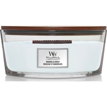 Vonná sviečka loď Magnolia Birch